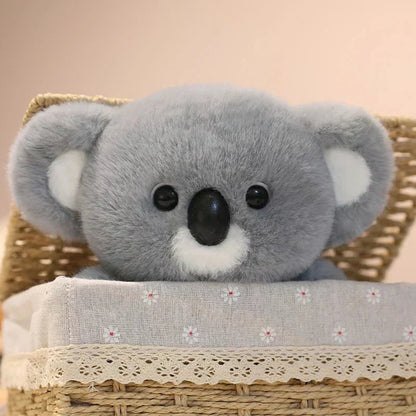 Adorable Teddy Bear Cuddly Plush Toy