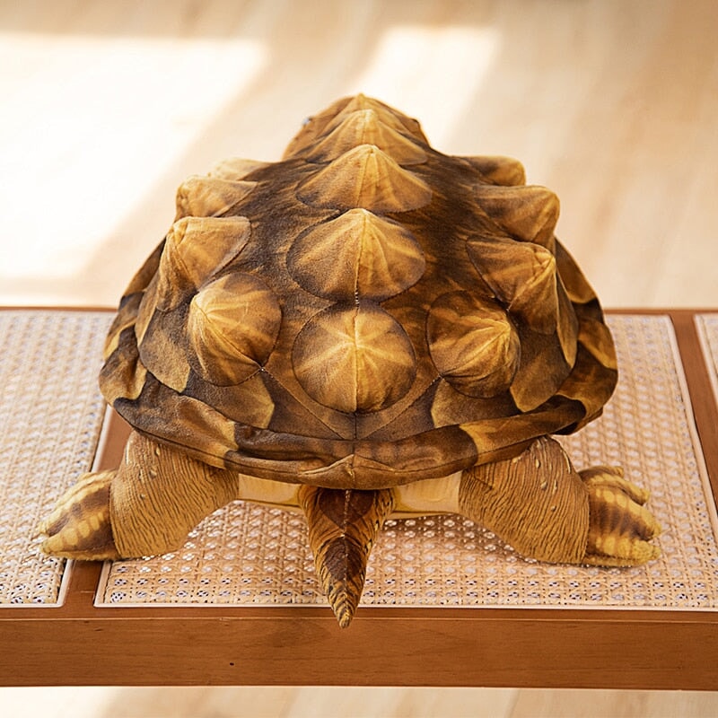 Big Realistic Turtle Soft Toy