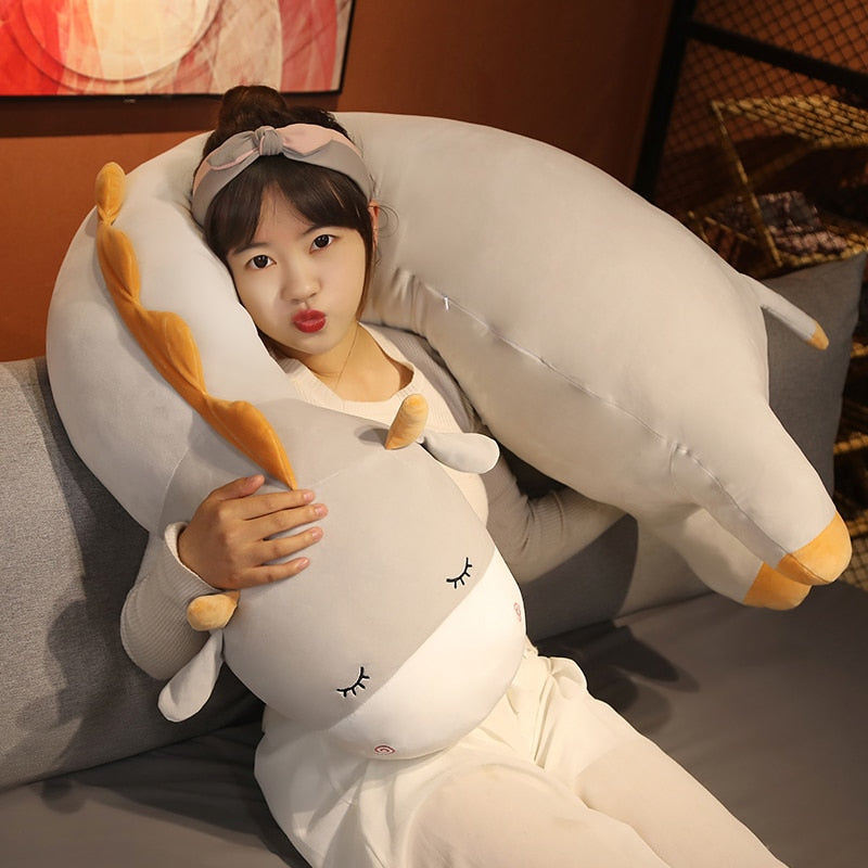 Adorable Cuddly Plush Teddy Toys - Luxicro