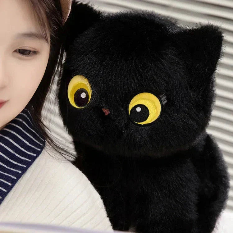 Cuddly Soft Kitten Plush Toys