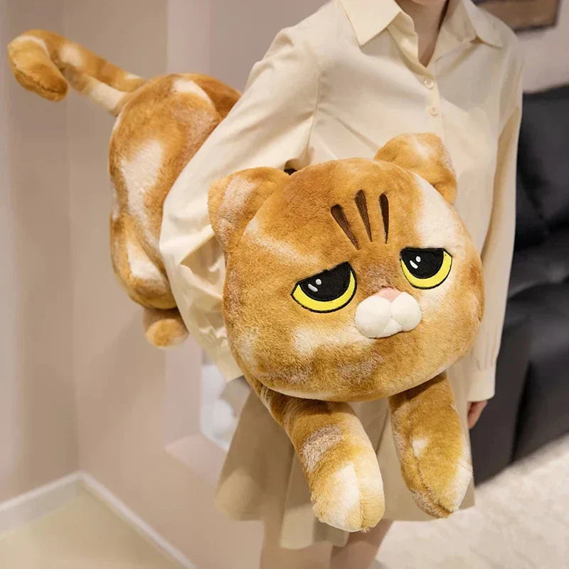 Cuddly Kitty Soft Plush Toys