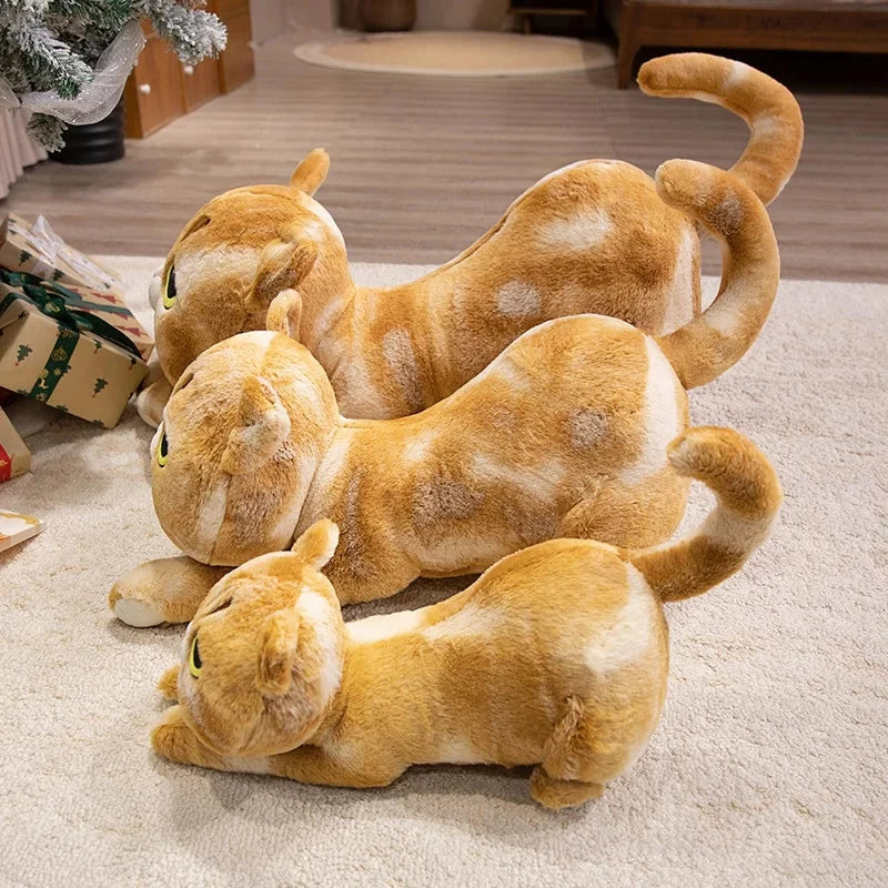 Cuddly Kitty Soft Plush Toys