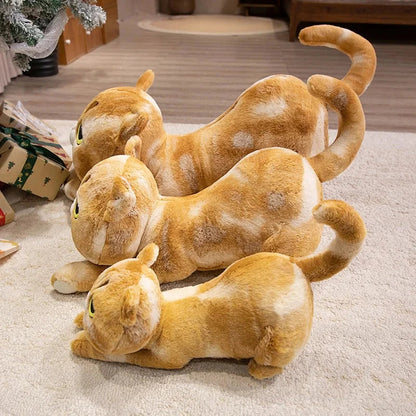 Adorable Cat Plush Stuffed Toys