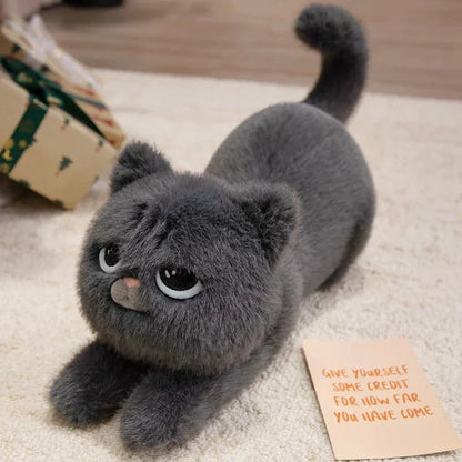 Adorable Cat Plush Teddy Toys