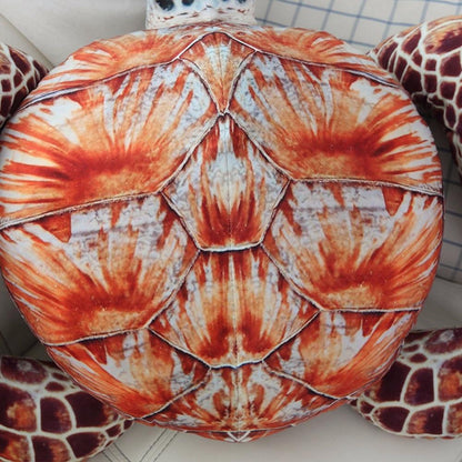 Adorable Ocean Turtle Cuddly Toys
