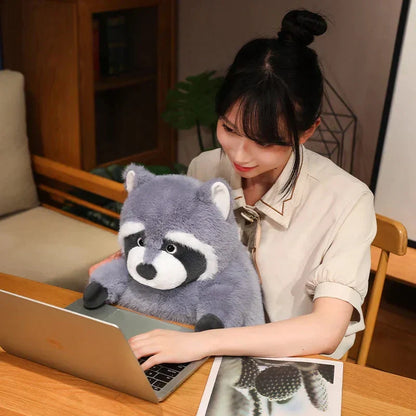Cuddly Raccoon Soft Plush Toy