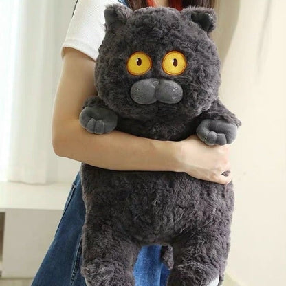 Adorable Cat Soft Toy Collectibles
