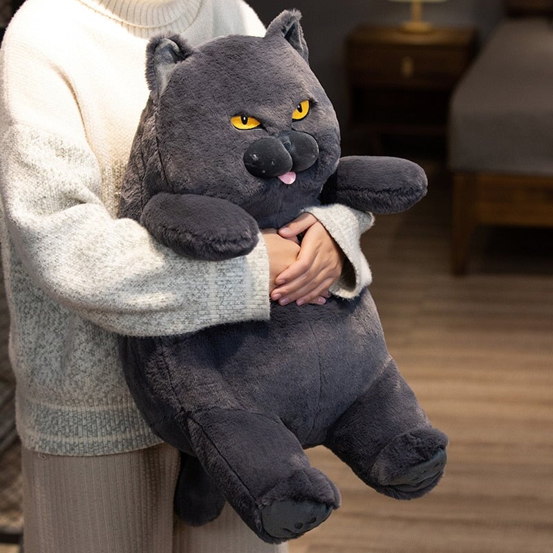Adorable Funny Cat Soft Plush Toy - Luxicro