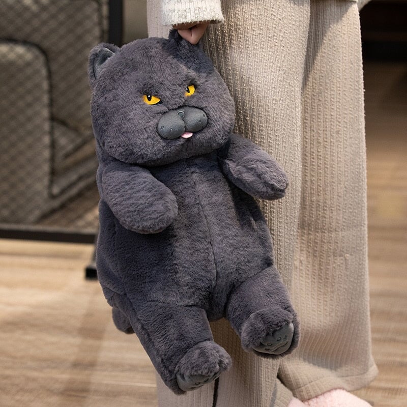 Adorable Funny Cat Soft Plush Toy