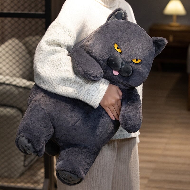 Adorable Funny Cat Soft Plush Toy