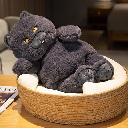 Adorable Funny Cat Soft Plush Toy