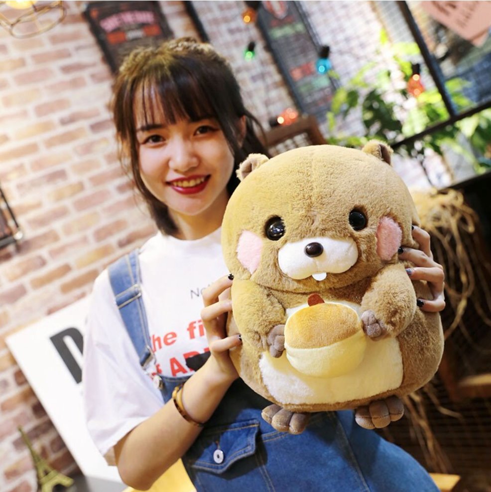 Adorable Plush Beaver Stuffed Toy