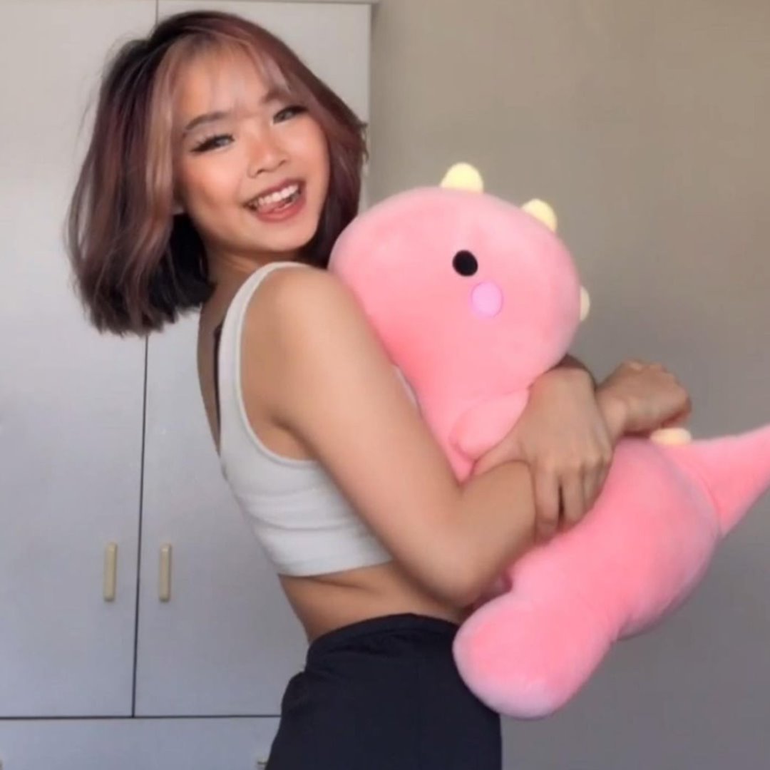 Adorable Plush Dino Toys