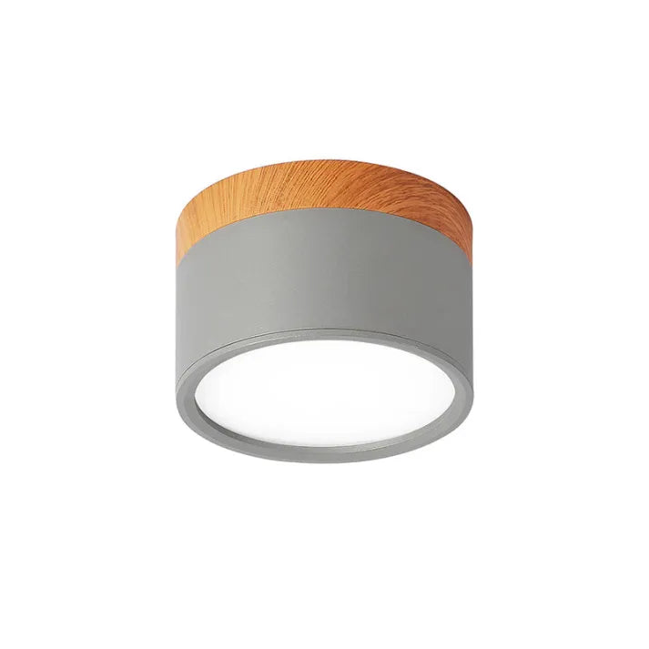 Slim Modern LED Ceiling Light