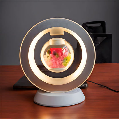 Unique Modern Air Plant Holder