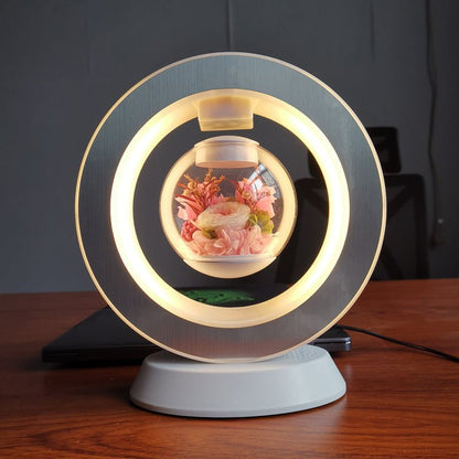 Unique Modern Air Plant Holder