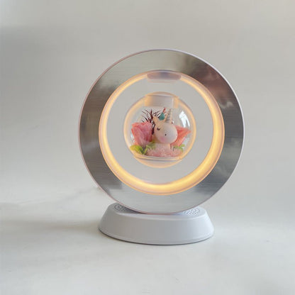 Unique Modern Air Plant Holder