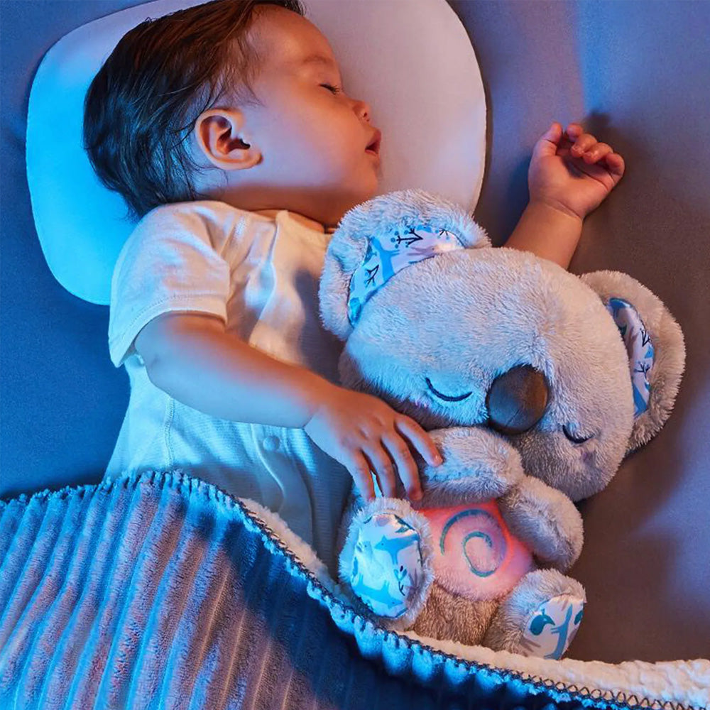 Cozy Plush Teddy Bear
