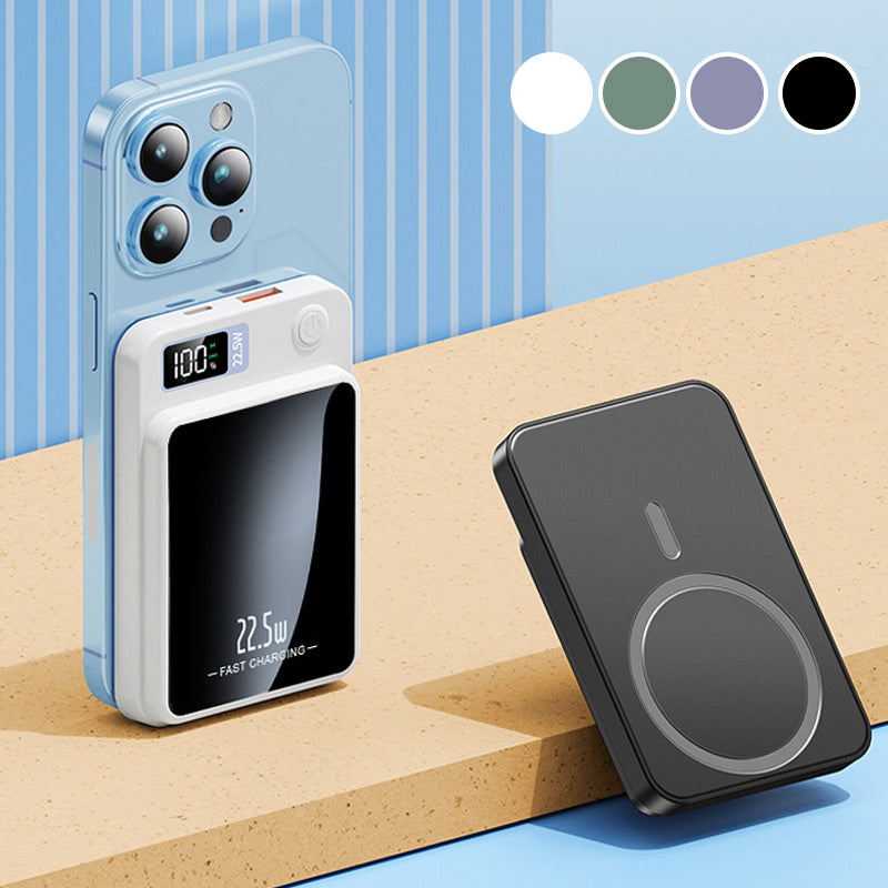 Portable High Capacity Travel Battery Charger