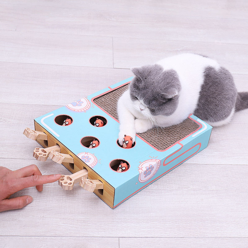 Fun Cat Play Box with Scratch Pad and Hidden Treats - Luxicro