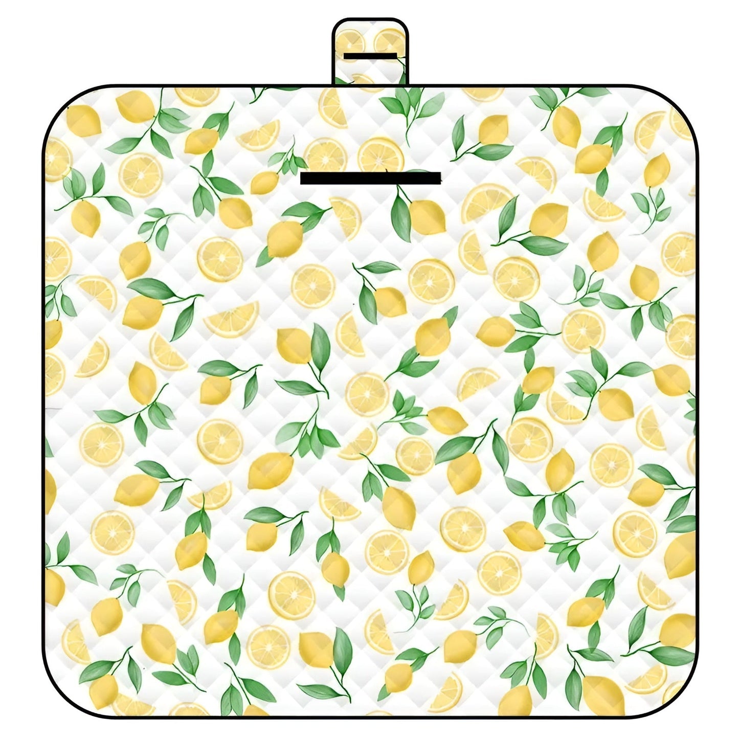 Portable Baby Play Pad with Padded Waterproof Mat