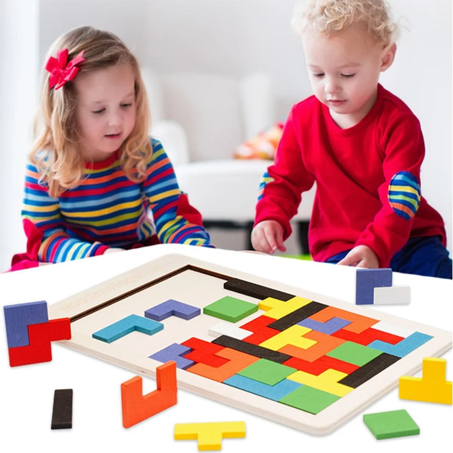 Brain Teaser Logic Puzzle Toy - Luxicro