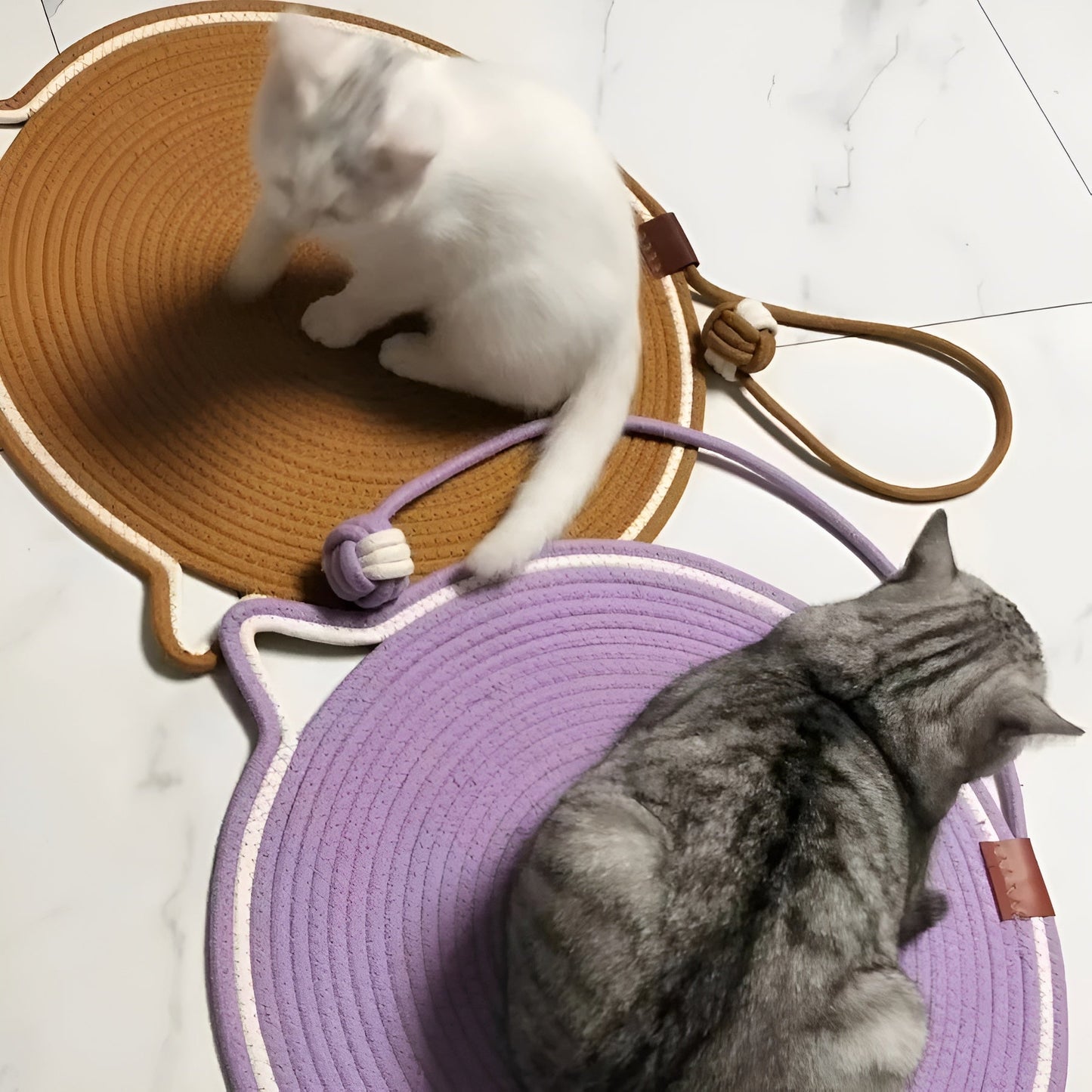 Sturdy Cat Scratching Mat with Nail Guard