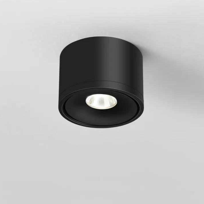 Contemporary Adjustable Ceiling Spotlight Fixture