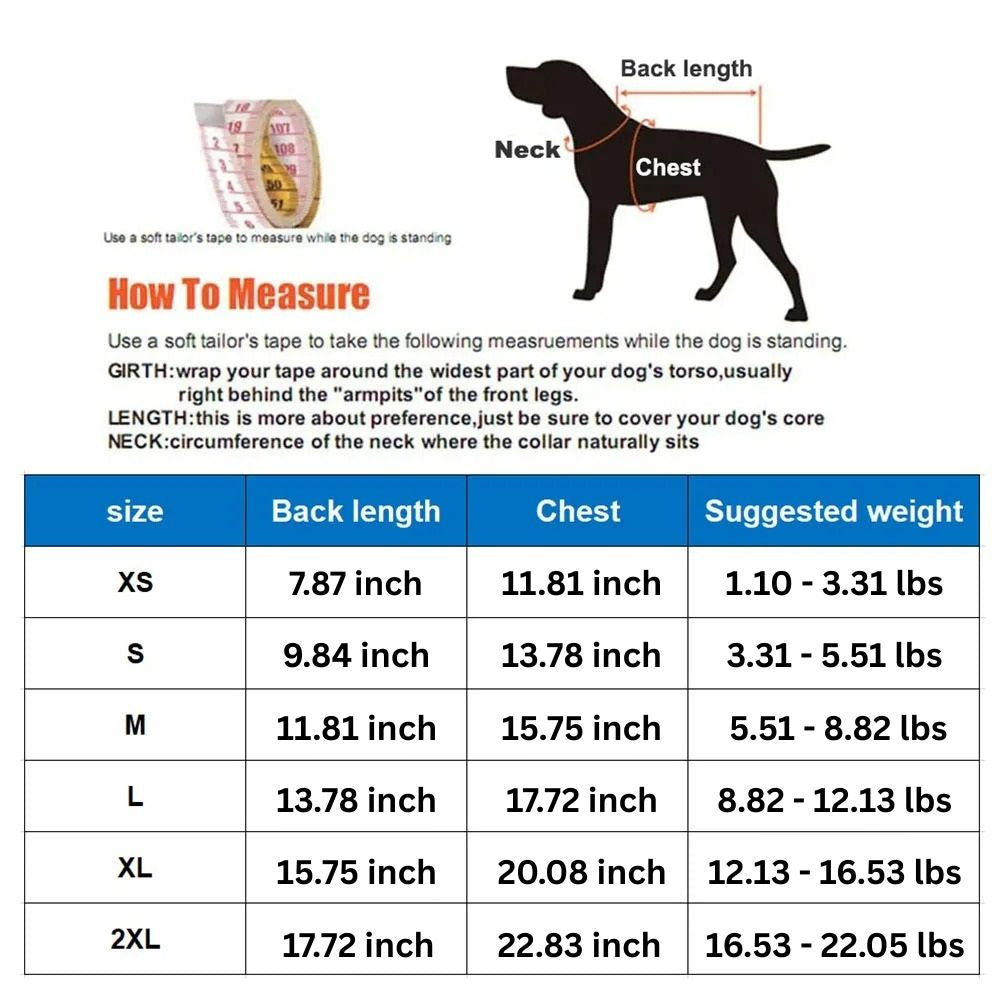 Cute Dog Rain Jacket with Reflective Safety Strap