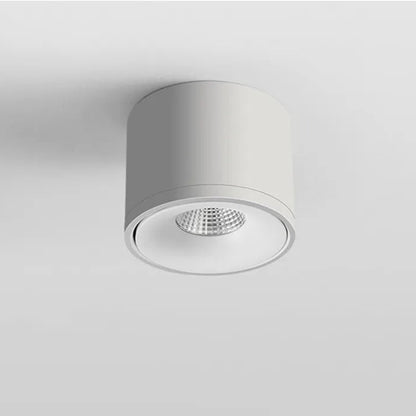 Contemporary Adjustable Ceiling Spotlight Fixture