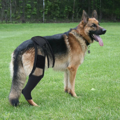 Comfortable Pet Knee Support Wrap