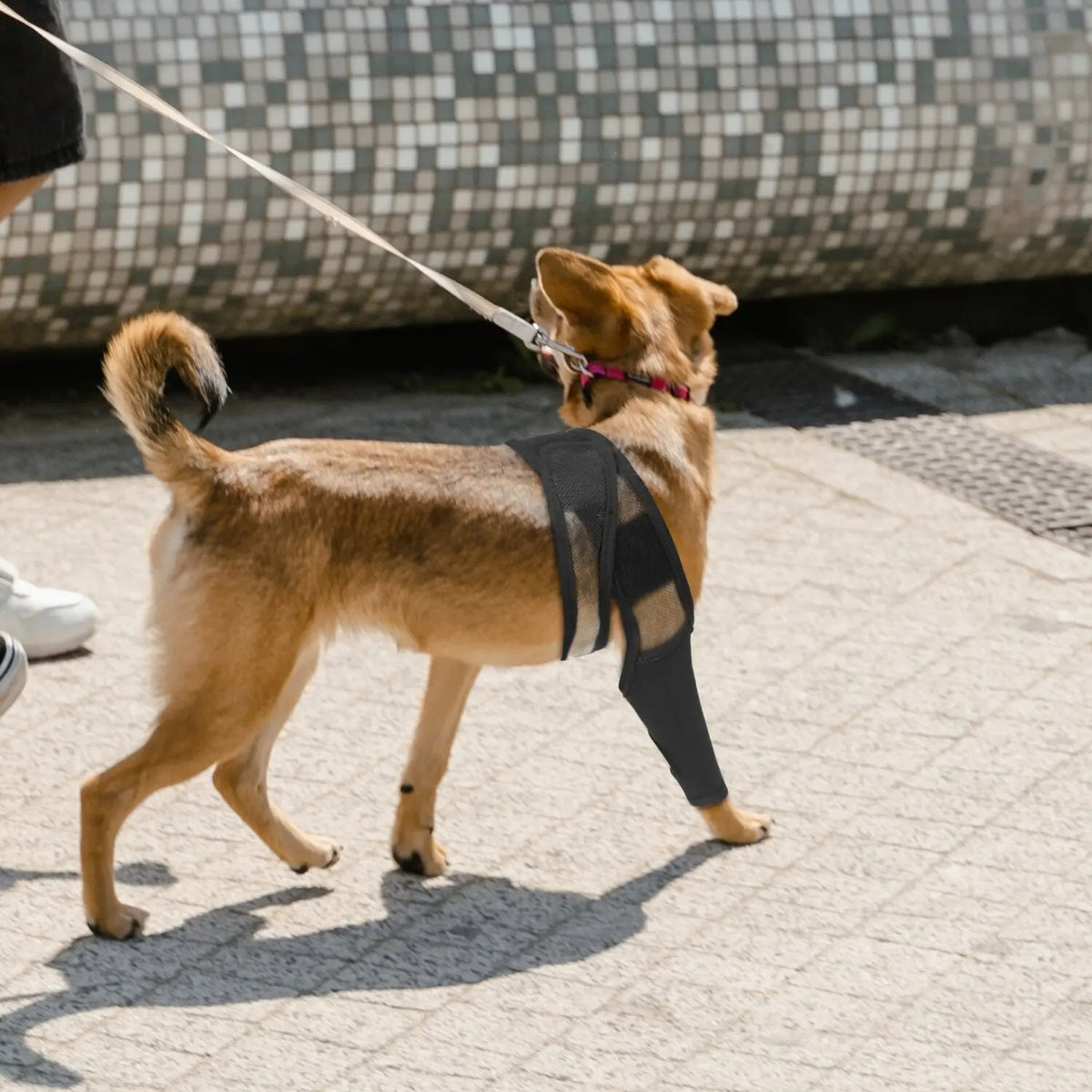 Comfortable Pet Knee Support Wrap