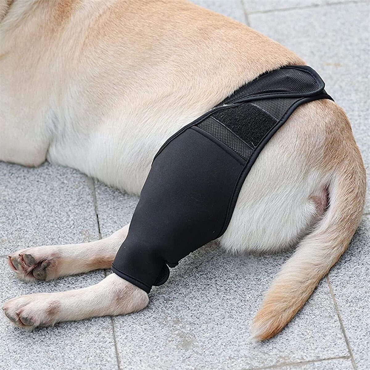 Comfortable Pet Knee Support Wrap