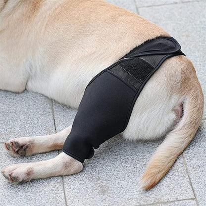 Comfortable Pet Knee Support Wrap