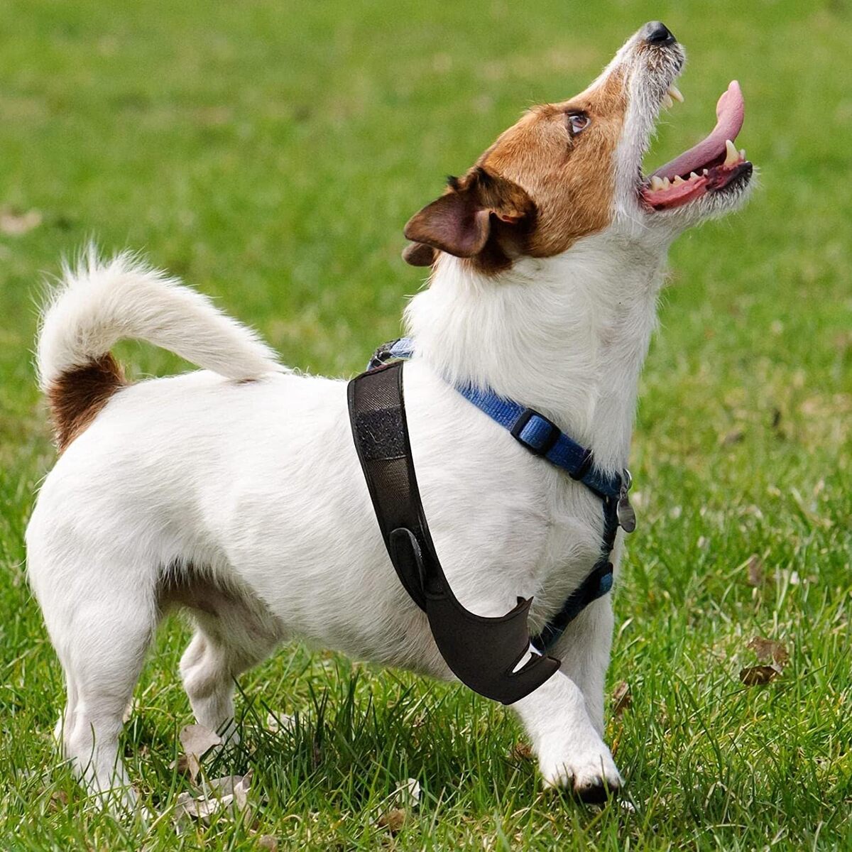 Comfortable Pet Knee Support Wrap