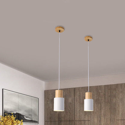 Easy Install Pendant Lamp