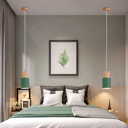 Easy Install Pendant Lamp