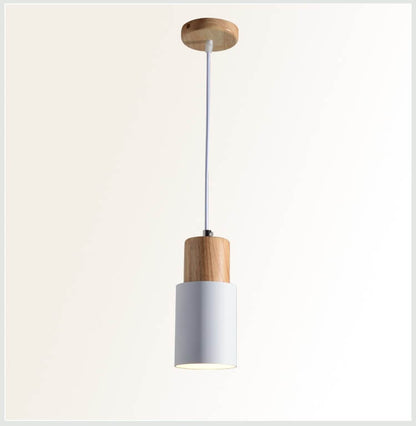 Easy Install Pendant Lamp