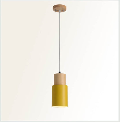 Easy Install Pendant Lamp
