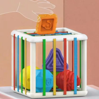 Educational Shape Sorting Toy Box