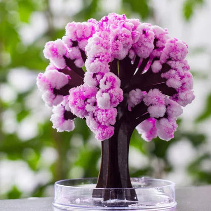 Beautiful Pink Cherry Blossom Tree
