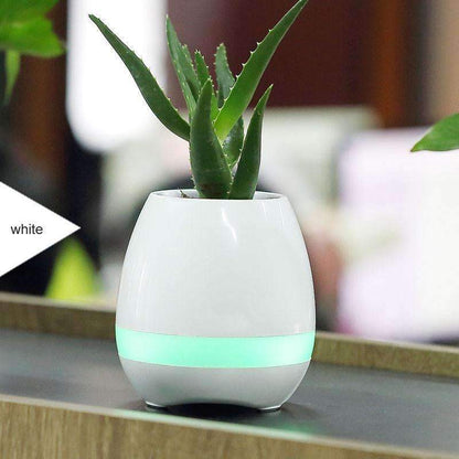 Blooming Music Planter - Luxicro