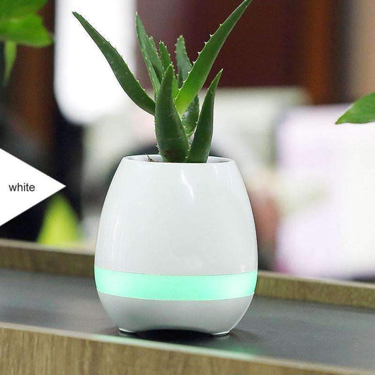 Blooming Music Planter - Luxicro