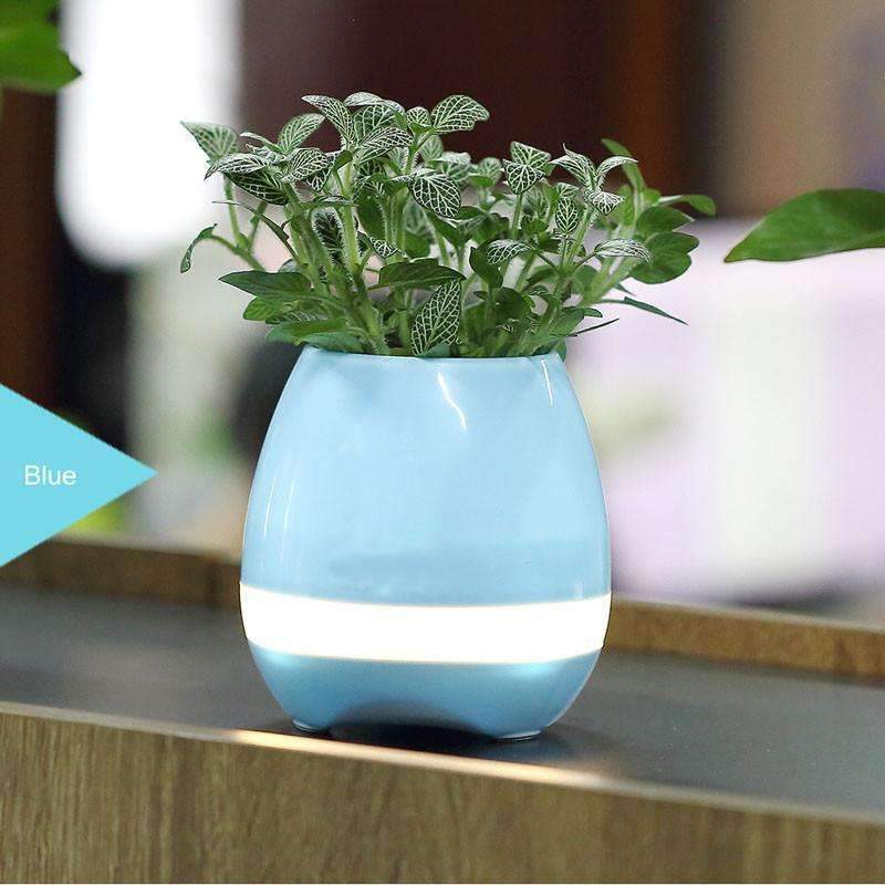 Blooming Music Planter
