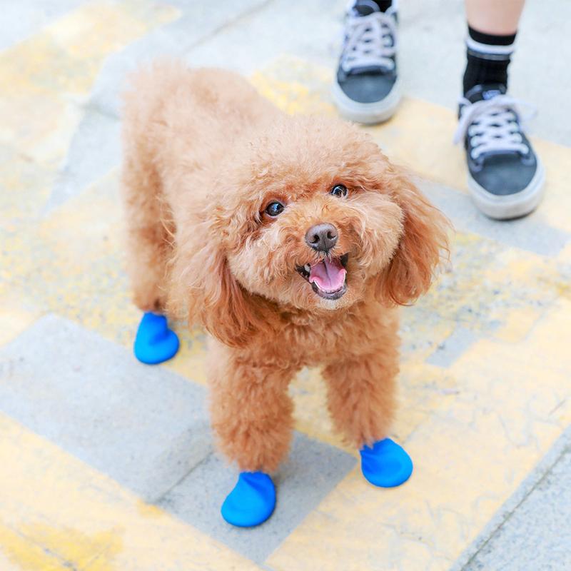Waterproof Dog Booties with Good Grip and Extra Protection