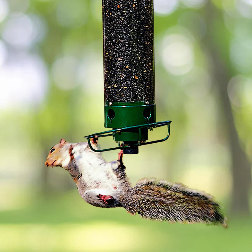 Squirrel Proof Bird Feeder with Weight Activated Guard - Luxicro