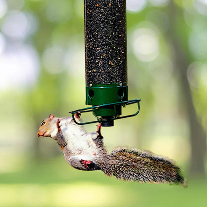 Squirrel Proof Bird Feeder with Weight Activated Guard - Luxicro