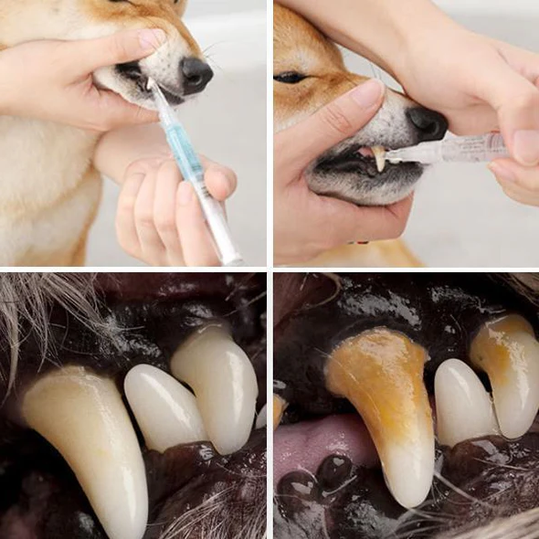 Natural Pet Oral Care for Healthy Teeth - Luxicro