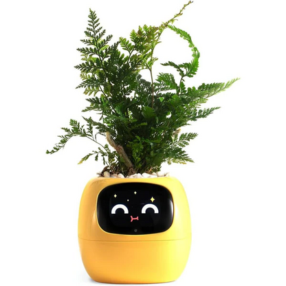 Intelligent Self Watering Planter Pot
