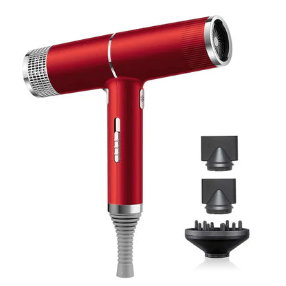 Powerful Salon Dryer with Quick Ionic Styling - Luxicro